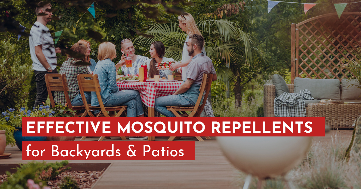 best mosquito repellent for patio.
