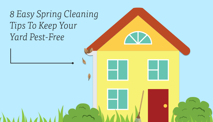 Spring Cleaning Tips to Keep Your Yard Pest-Free