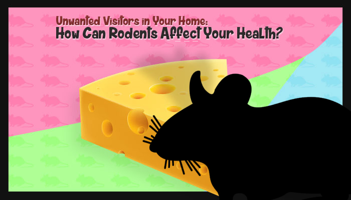 How Can Rodents Affect Your Health