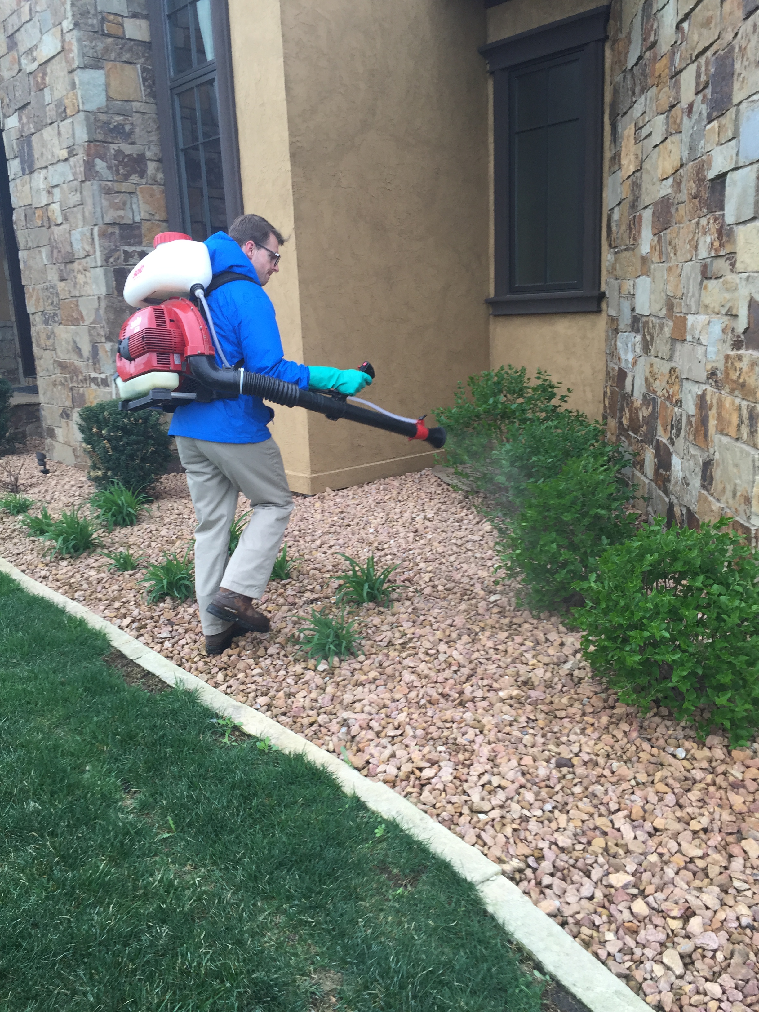 Des Moines Mosquito Removal