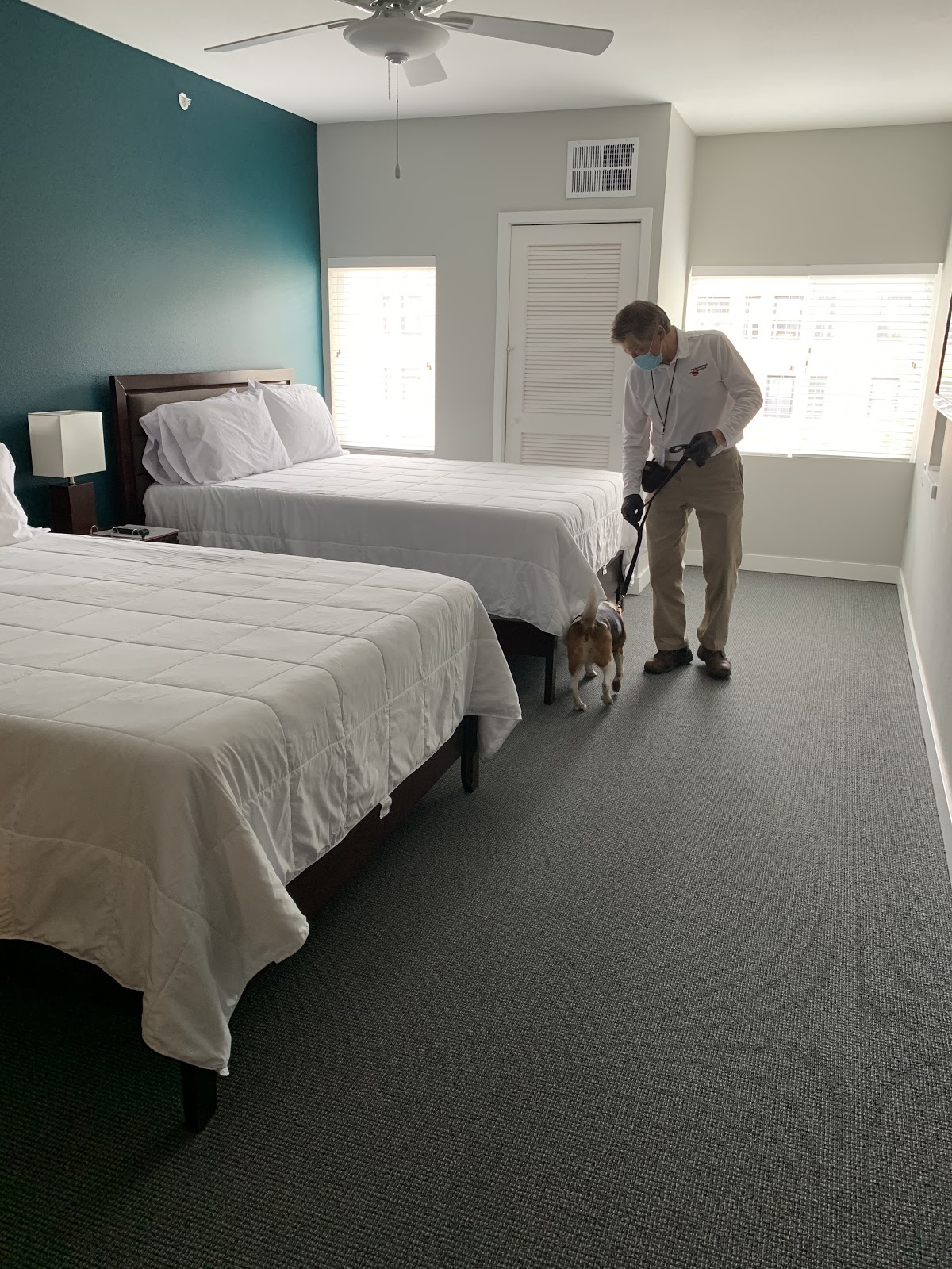 Bed bug detection dog and exterminator performing search