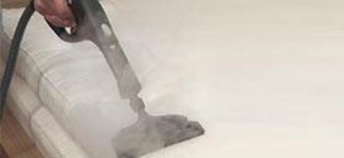 Applying steam kill bed bugs using steam