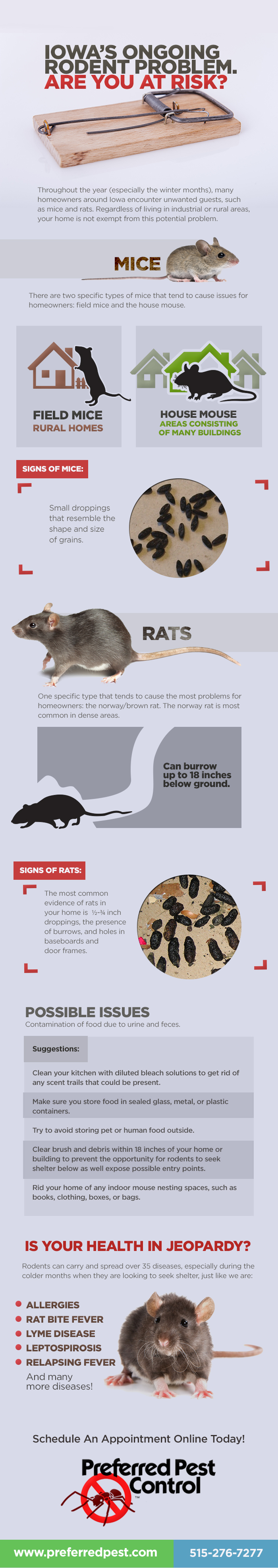 Mice, Rats, Iowa Mice, Iowa Rats