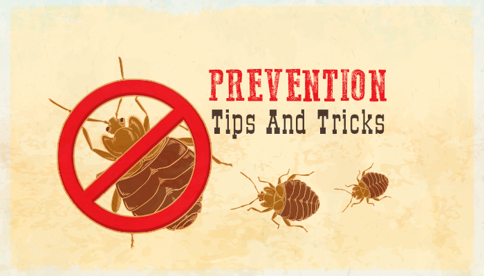 Preferred Pest Control, Bed But Prevention
