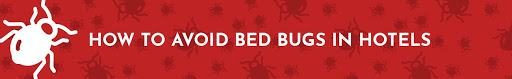 avoiding bed bugs in hotels