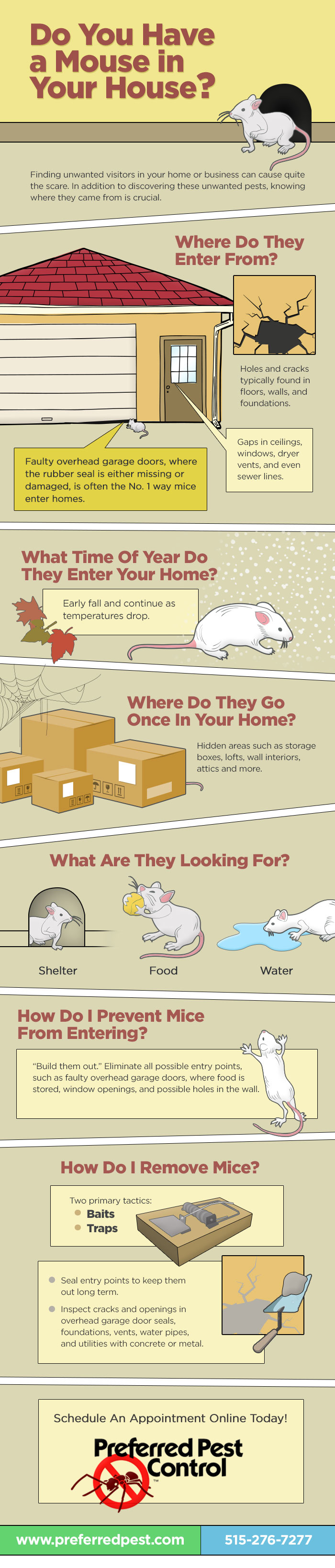 Mice, Preferred Pest Control, Mouse in Your House, Iowa Pest Control