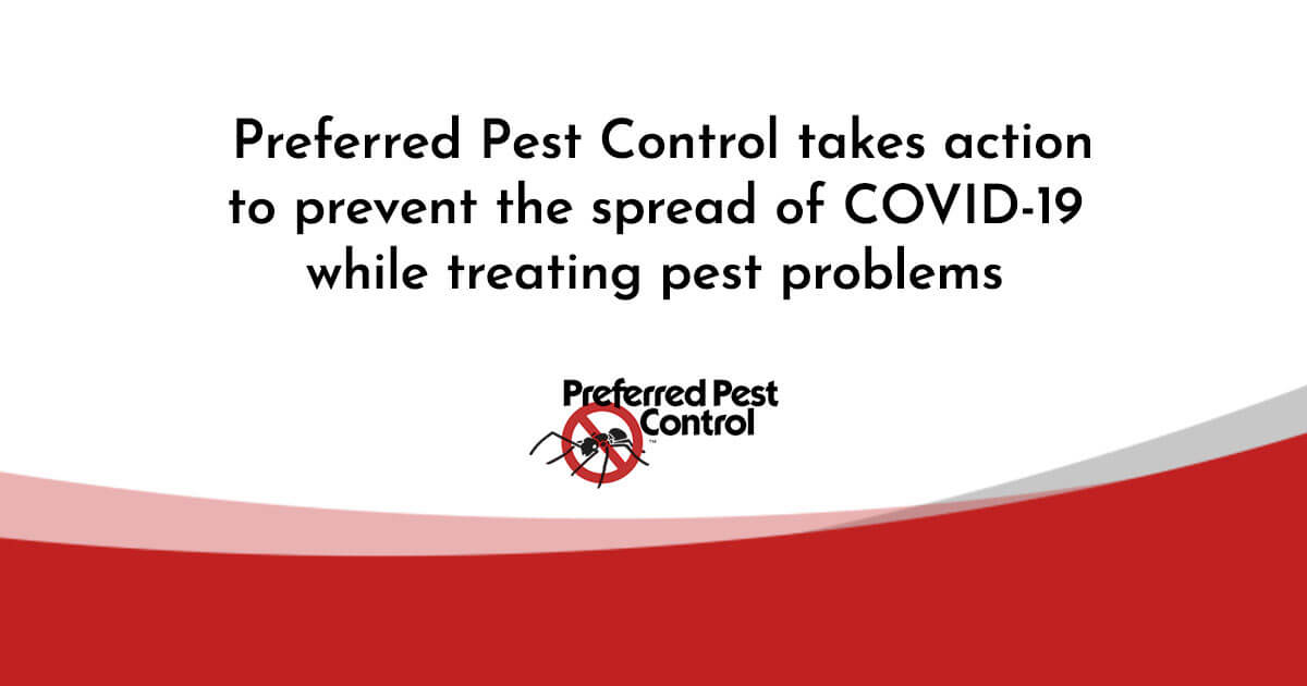 prevent spread of covid-19