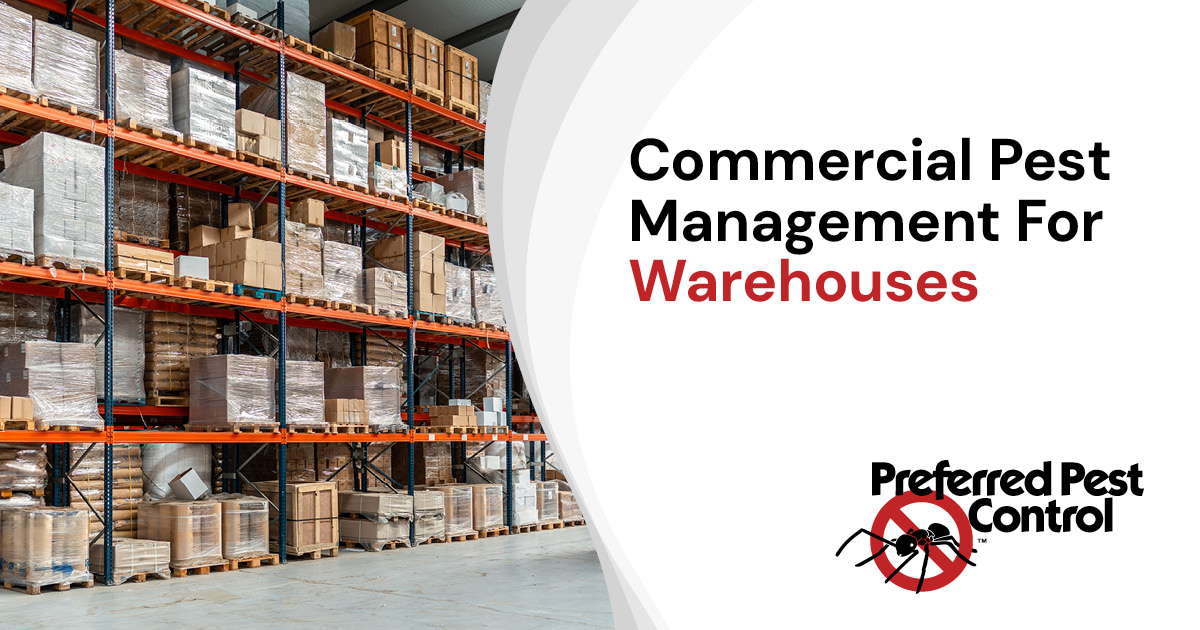 inside of warehouse storing boxes