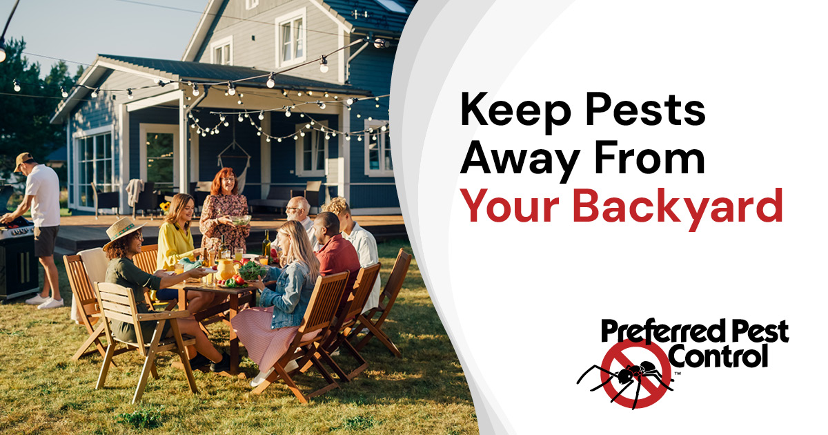 Keep pests away from your backyard