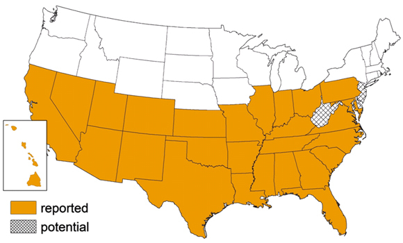 Kissing Bug Locations