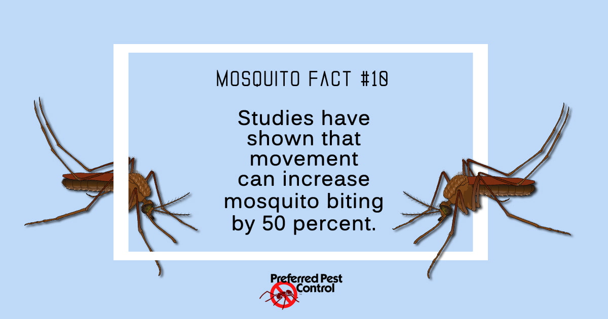 Mosquito Facts | Preferred Pest