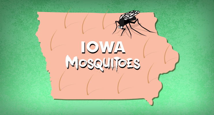 Preferred Pest Control, Tips to Win the War Against Iowa's Mosquitoes