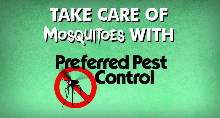 Preferred Pest Control, Tips to Win the War Against Iowa's Mosquitoes