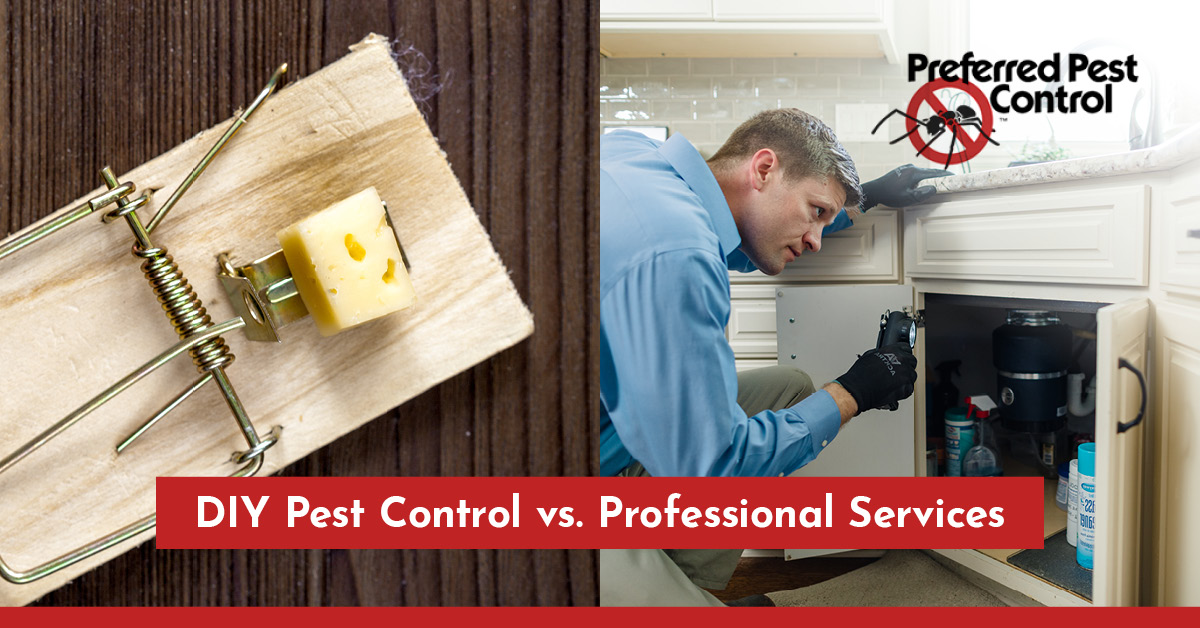 pest control fresno