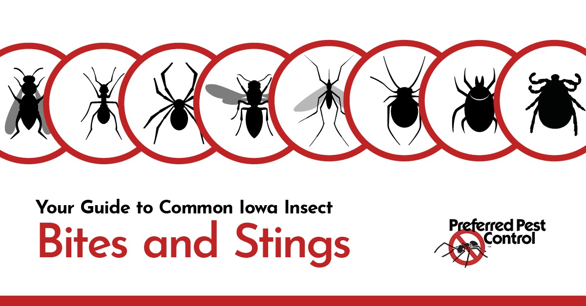 Bug Bites And Stings