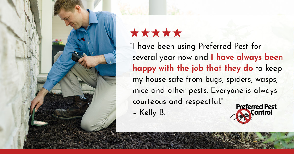 Preferred Pest Control Reviews Des Moines Pest Control Services