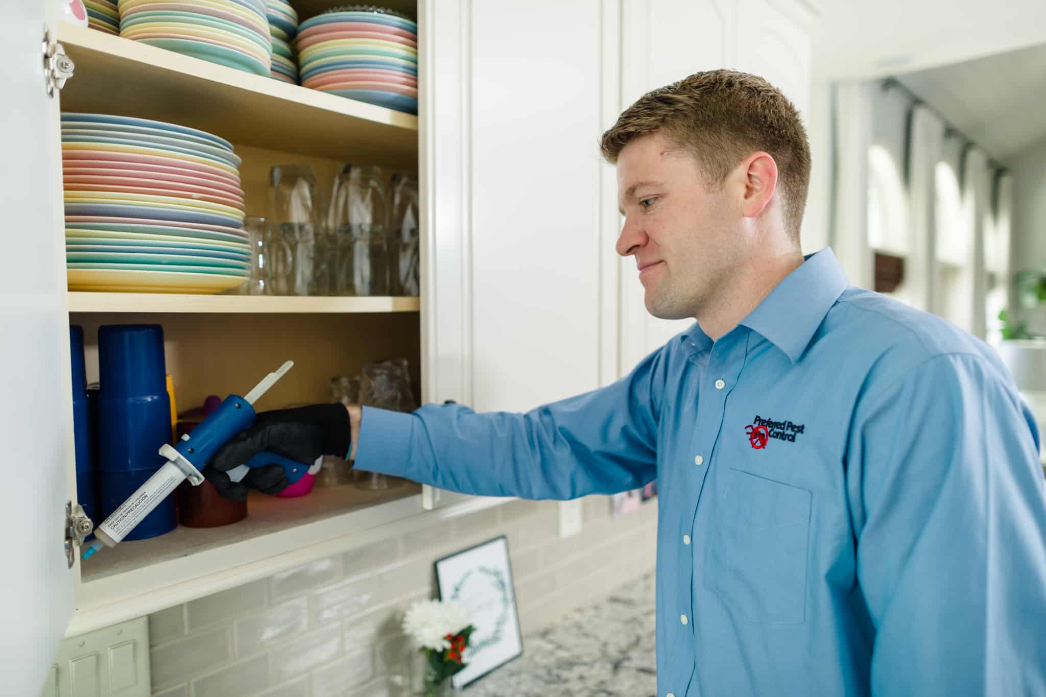 home pest control treatment