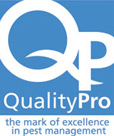 Quality Pro